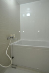 sumire211a