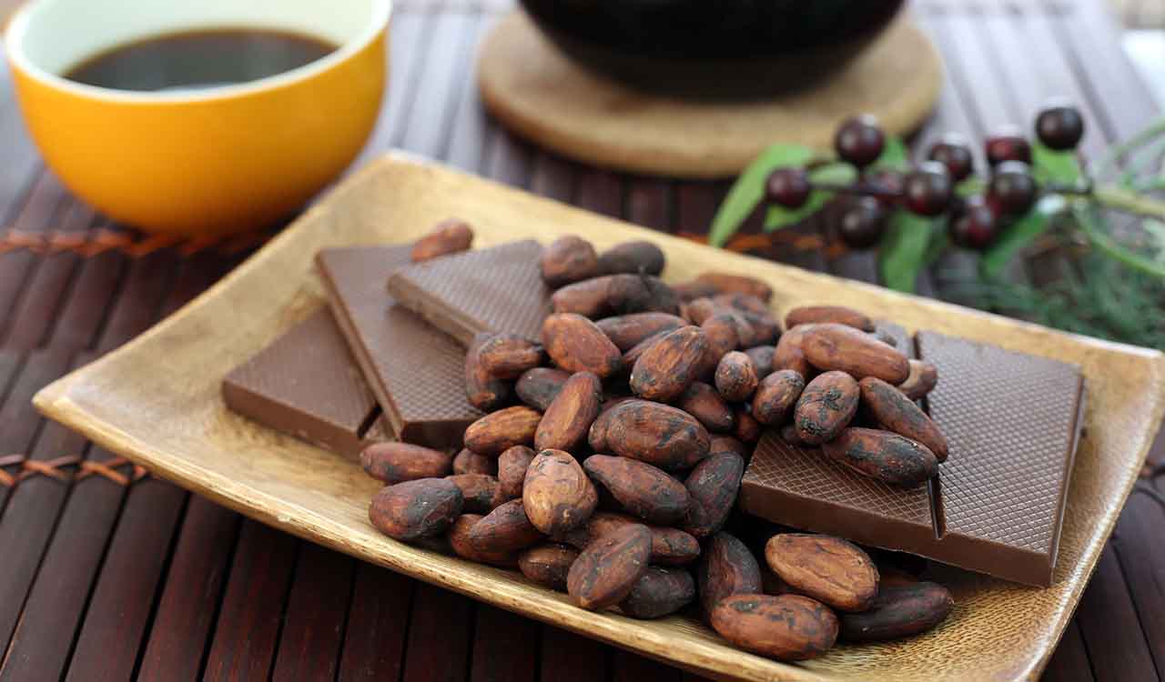 チョコレートの原料のカカオ